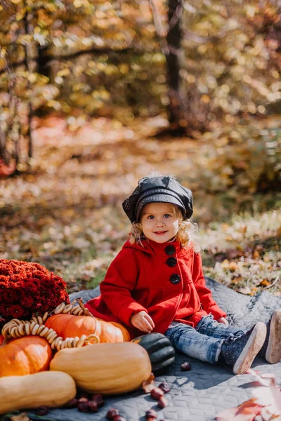 Little girl in a red coat sits in an autumn forest with a basket of autumn fruits