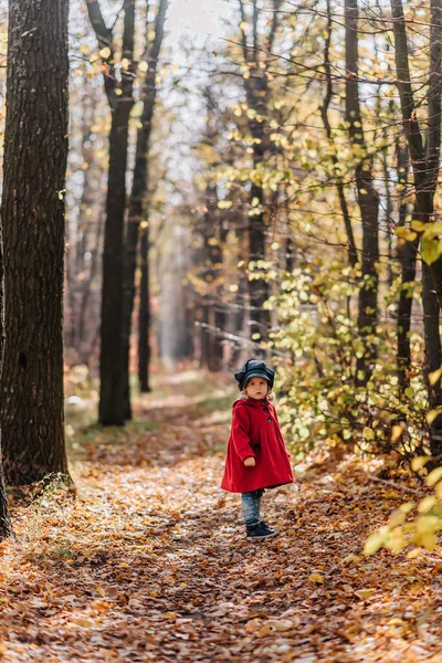 Little girl in a red coat walk in autumn forest