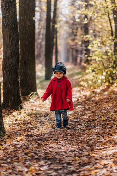 Sonbahar ormanında kırmızı paltolu küçük bir kız yürüyor.