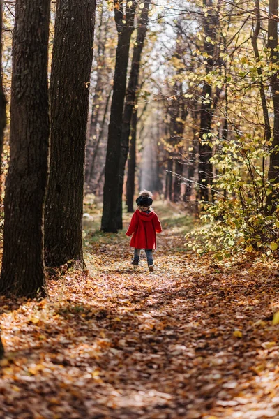 Sonbahar ormanında kırmızı paltolu küçük bir kız yürüyor.
