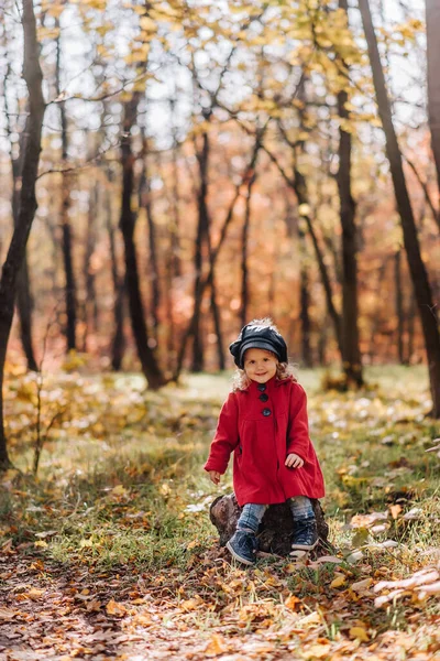 Kırmızı ceketli küçük kız sonbahar ormanında eğleniyor.
