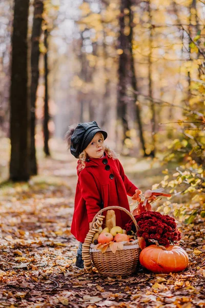 Little Girl Red Coat Sits Autumn Forest Basket Autumn Fruits — Zdjęcie stockowe