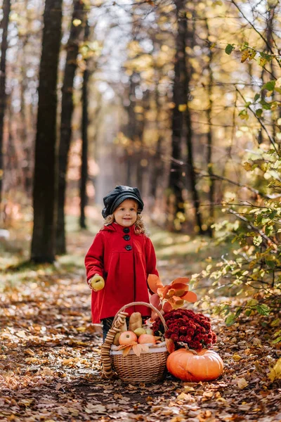 Little girl in a red coat sits in an autumn forest with a basket of autumn fruits