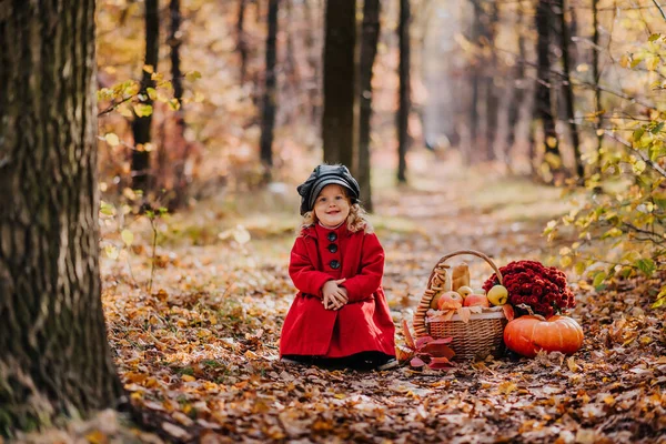 Little girl in a red coat sits in an autumn forest with a basket of autumn fruits