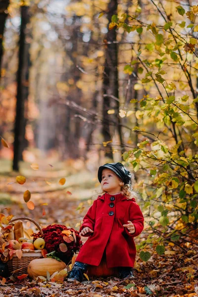 Little girl in a red coat sits in an autumn forest with a basket of autumn fruits