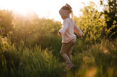 Little girl have fun in a hight green grass in the sunset
