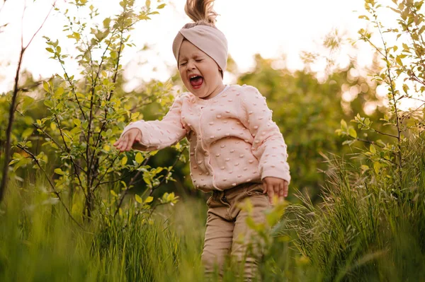 Little girl have fun in a hight green grass in the sunset