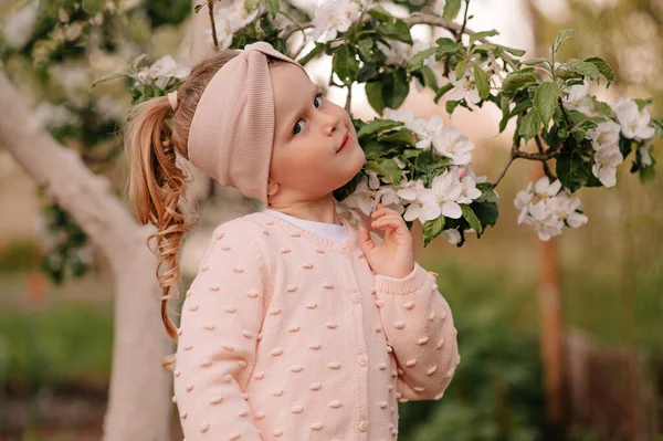 Little girl in white blooming apple trees
