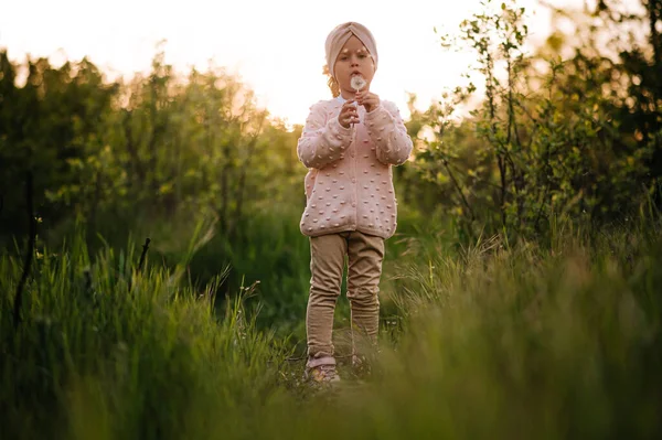 Little Girl Blows Dandelion Hight Green Grass Sunset — Zdjęcie stockowe