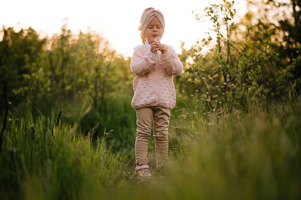 Little girl blows off a dandelion in a hight green grass in the sunset