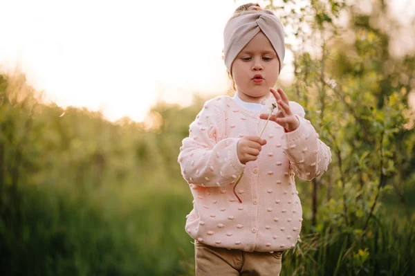 Little Girl Blows Dandelion Hight Green Grass Sunset — Zdjęcie stockowe