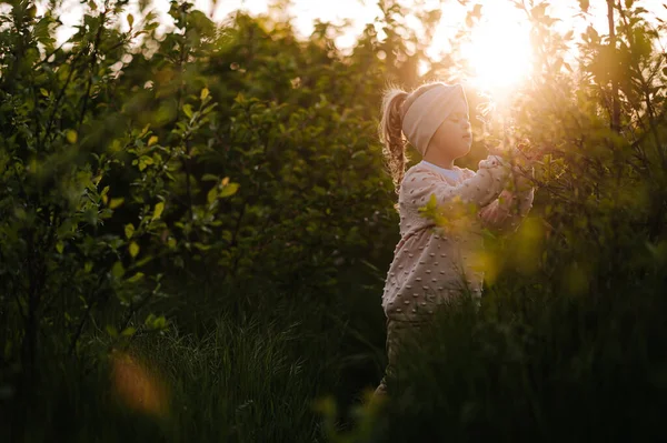 Little Girl Smells Lilac Sunset — Zdjęcie stockowe