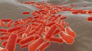 Sanatçının mikroskop altında koli basili bakteri izi (3D).