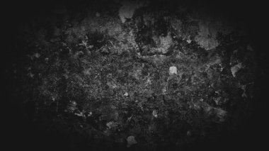 Bir kayanın ya da betonun engebeli yüzeyine yakın çekim