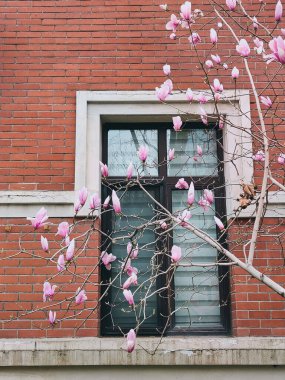 Arka planında küçük mor çiçekler olan bir ağacın dikey görüntüsü. Kapalı bir kapı ve tuğla bir duvar.