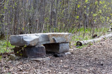 Ormandaki patika boyunca uzanan taş bir bankın dikey görüntüsü.