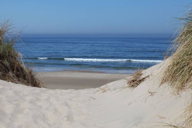 Güneşli bir yaz gününde güzel bir denizin havadan görünüşü.