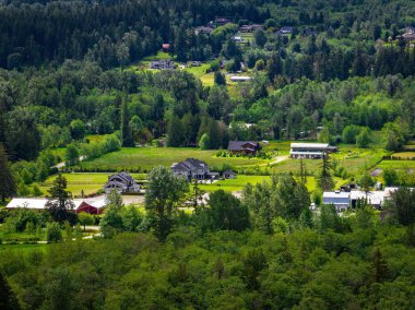 Ormandaki güzel evlerin yüksek açılı manzarası