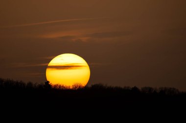 Güzel bir gün batımı manzarası, ağaçların siluetlerine karşı büyük bir güneş.