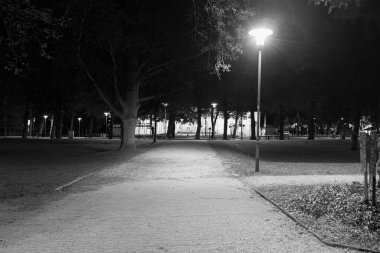 Gece lambayla çalıların arasında