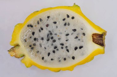 Amerika 'nın yerlisi olan bu ejderha meyvesi türü Hylocereus megalanthus kaktüs familyasının en büyük çiçeklerini üretir..