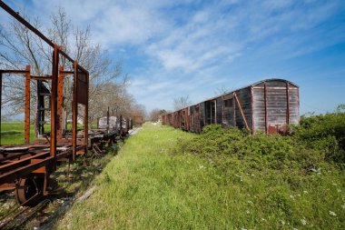 Paslı ve hasarlı tren vagonları terk edilmiş bir tren istasyonunda.