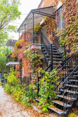 Montreal, sonbaharda Mont-Royal Platosu 'nda dış merdiveni olan tipik Victoria evi.