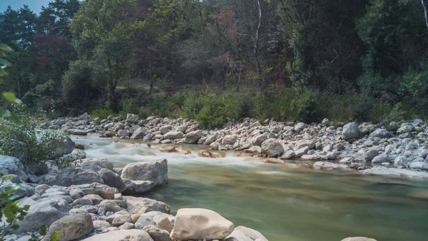 Μια Πανοραμική Θέα Μιας Όμορφης Λίμνης Κοντά Στο Δάσος Μια — Φωτογραφία Αρχείου