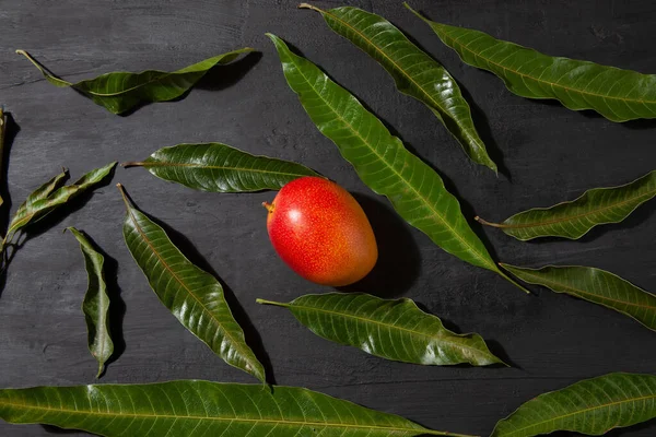 Gri Arkaplanda Yeşil Yapraklar Mango Meyvelerinin Üst Görüntüsü — Stok fotoğraf