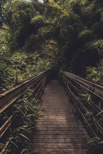 Belo Tiro Vertical Uma Ponte Parque Nacional Haleakala — Fotografia de Stock