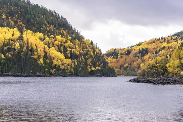 カナダの森 秋の間に 木々の美しい色 — ストック写真