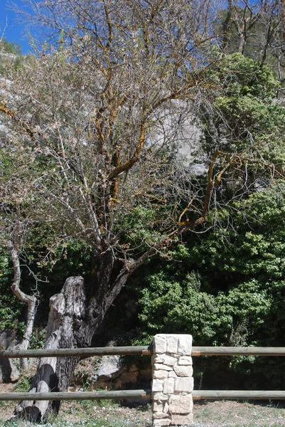 Parque Cercado Dia Ensolarado — Fotografia de Stock