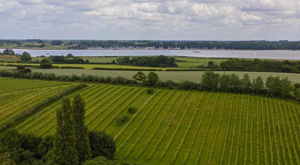 Una Vista Aérea Las Vastas Vides Shotley Río Orwell Levington — Foto de Stock