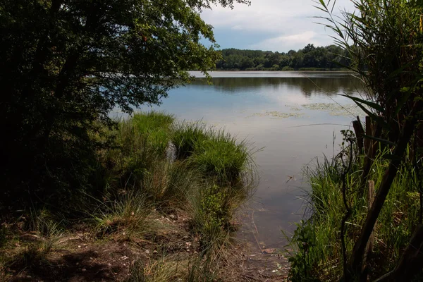 Pohled Pobřeží Jezero Pozadí Lesa — Stock fotografie