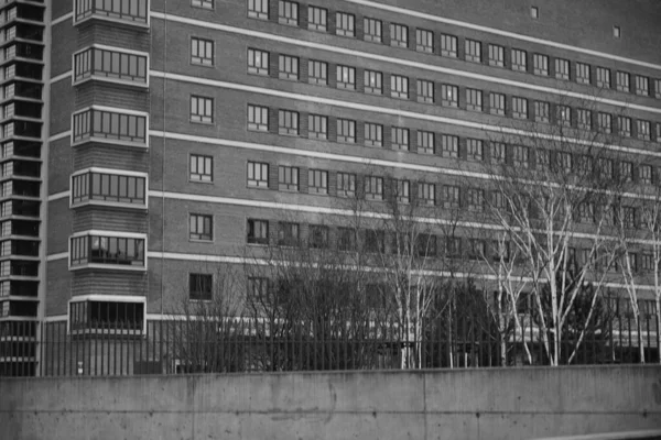 Черно Белое Фото Тоскливого Квартала Домов Франкфурте Стоящего Перед Ецб — стоковое фото