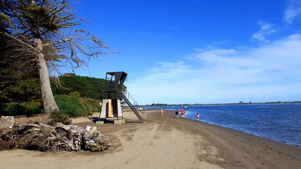 Una Torre Observación Plantas Silvestres Pequeño Grupo Personas Playa Amortajado — Foto de Stock