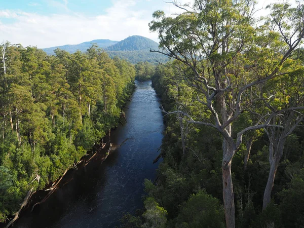 オーストラリアのタスマニアの森を流れるフオン川の空中撮影 — ストック写真