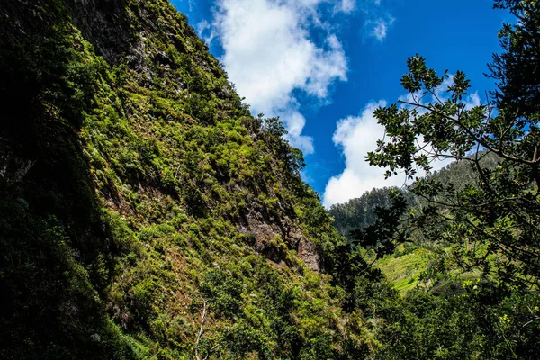 Uma Vista Natural Uma Floresta Paisagem Montanhosa Sob Céu Claro — Fotografia de Stock
