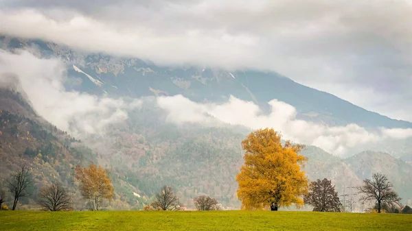 Uma Bela Paisagem Uma Montanha Atrás Das Nuvens Árvores Folhagem — Fotografia de Stock