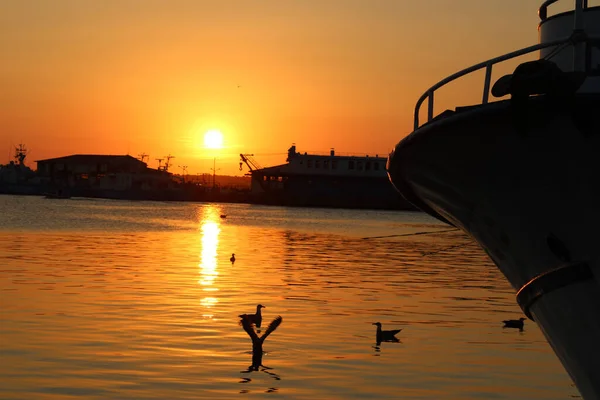 Eenden Zwemmen Het Water Tijdens Schilderachtige Zonsondergang — Stockfoto