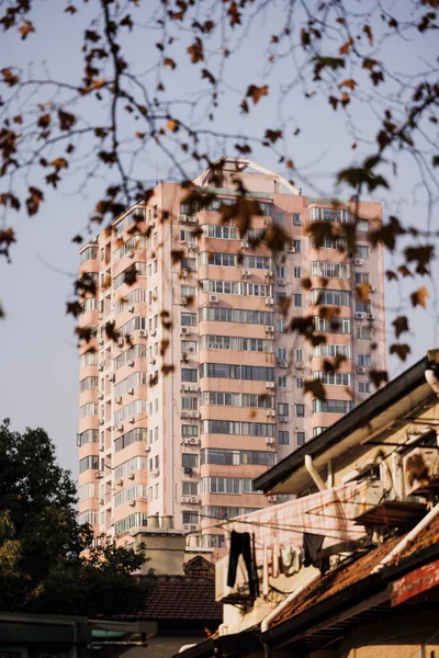 Een Verticaal Shot Van Een Appartement Gebouw Door Boom Takken — Stockfoto