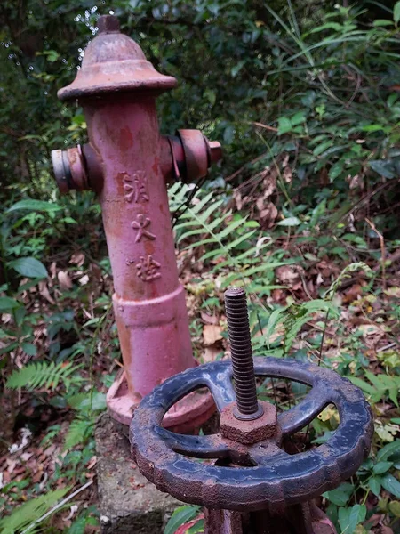 山の中の放棄された消火栓 — ストック写真