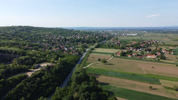 Drone Une Vallée Verdoyante Avec Des Buissons Des Plantes Des — Photo