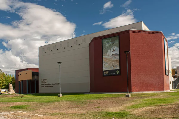 Palæontologisk Museum Egidio Feruglio Mod Den Blå Himmel Trelew Argentina - Stock-foto