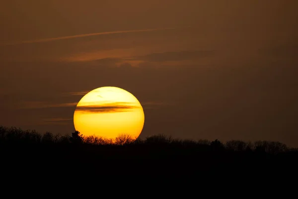 Krásný Výhled Západ Slunce Velkým Sluncem Proti Siluetám Stromů — Stock fotografie