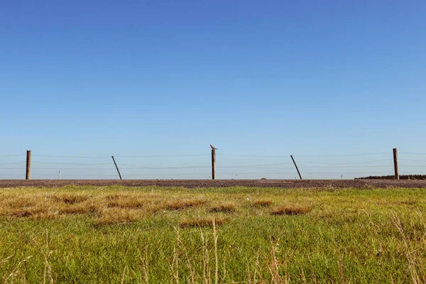 Morning Landscape Fence Field Bird Post — Stock Photo, Image