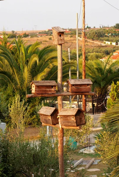 Five Bird Nests Handmade Pole — Stock Photo, Image