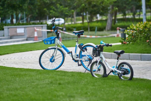 Två Cyklar Vuxen Unge Storlek Parkerade Kanten Gräs Offentlig Park — Stockfoto