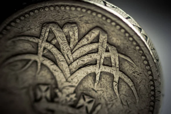 英ポンド硬貨のマクロショット — ストック写真