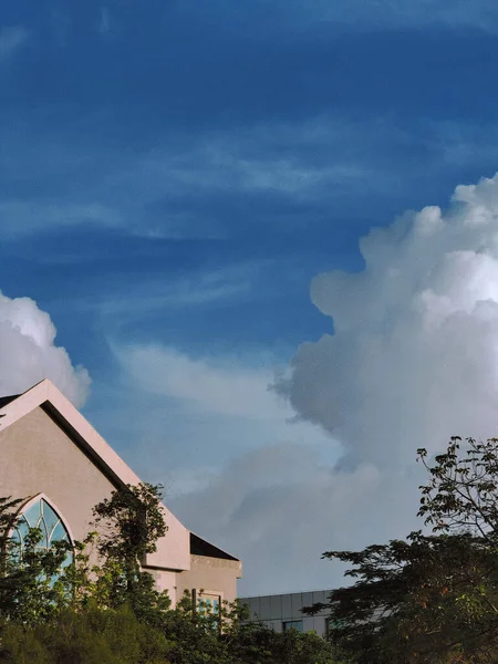 Een Verticaal Shot Van Gebouwen Groene Bomen Onder Een Bewolkte — Stockfoto